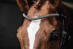 Sale SCHOCKEMOEHLE N.A. Schockemöhle Malaga Bridle