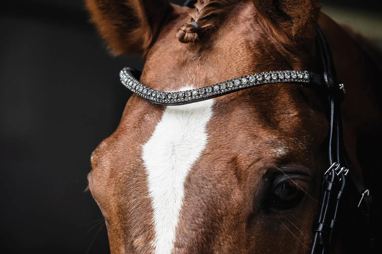 Sale SCHOCKEMOEHLE N.A. Schockemöhle Malaga Bridle