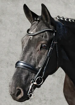Clearance SCHOCKEMOEHLE N.A. Schockemöhle Milan Anatomical Double Bridle Black/Silver