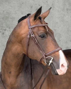 Discount SCHOCKEMOEHLE N.A. Schockemöhle Montreal Select Anatomic Hunter Bridle Espresso/Cream/Silver
