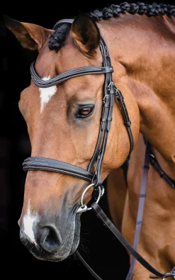 SCHOCKEMOEHLE N.A. Schockemöhle Monza Fancy Stitched Bridle Dark Brown/Silver