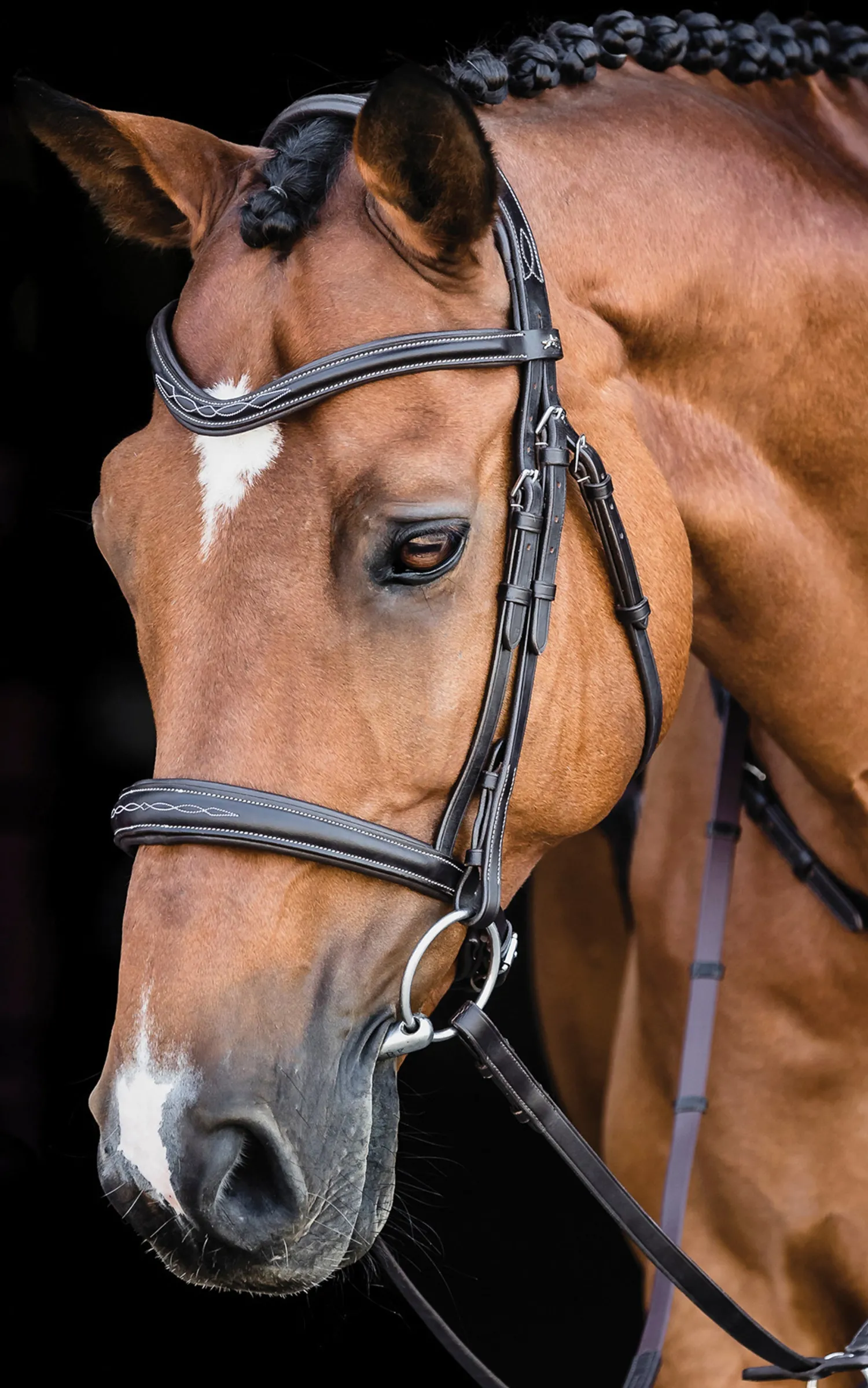 SCHOCKEMOEHLE N.A. Schockemöhle Monza Fancy Stitched Bridle Dark Brown/Silver