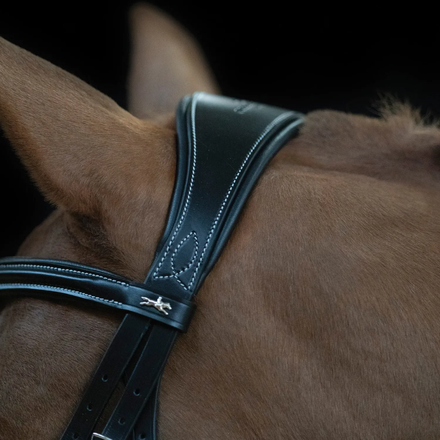 SCHOCKEMOEHLE N.A. Schockemöhle Monza Fancy Stitched Bridle Dark Brown/Silver