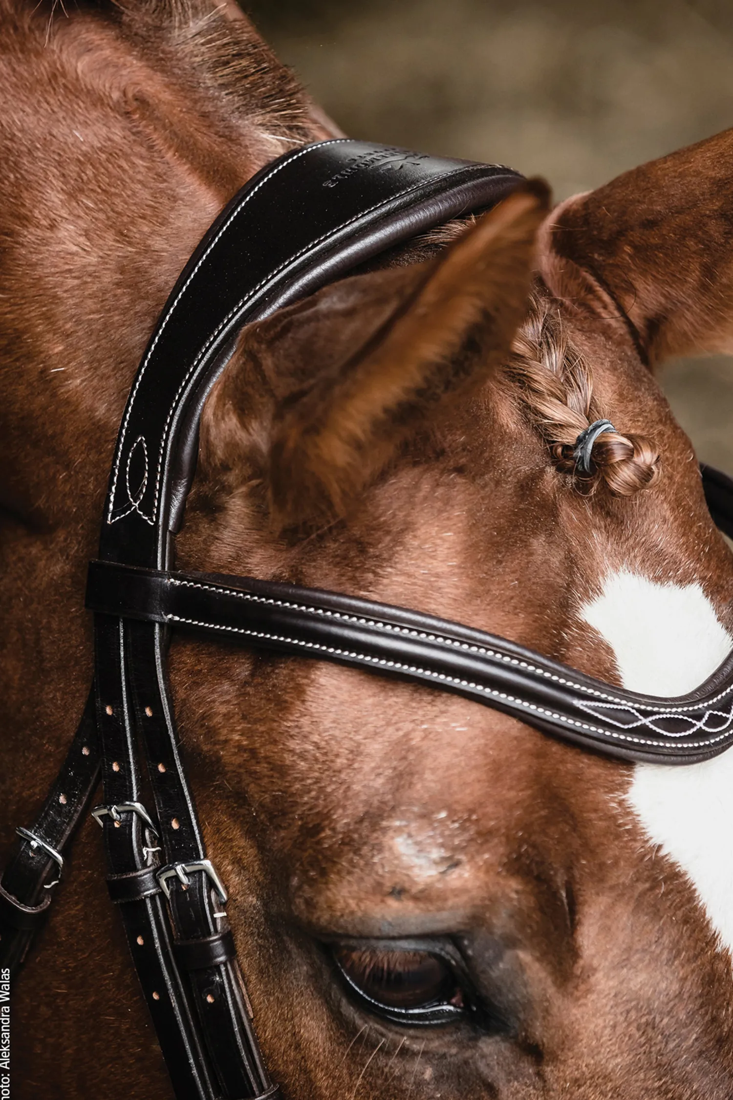 SCHOCKEMOEHLE N.A. Schockemöhle Monza Fancy Stitched Bridle Dark Brown/Silver