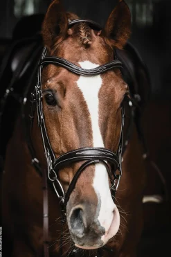 SCHOCKEMOEHLE N.A. Schockemöhle Monza Fancy Stitched Bridle Dark Brown/Silver