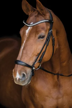 Sale SCHOCKEMOEHLE N.A. Schockemöhle Pisa Drop Nose Bridle Black/Silver