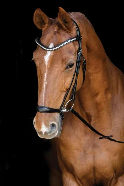 Sale SCHOCKEMOEHLE N.A. Schockemöhle Pisa Drop Nose Bridle Black/Silver