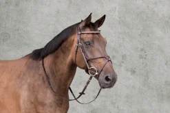 New SCHOCKEMOEHLE N.A. Schockemöhle Rio Select Anatomic Figure-8 Bridle Espresso/Silver