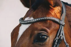 Hot SCHOCKEMOEHLE N.A. Schockemöhle Rome Select Bridle