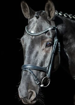 Hot SCHOCKEMOEHLE N.A. Schockemöhle Rome Select Bridle