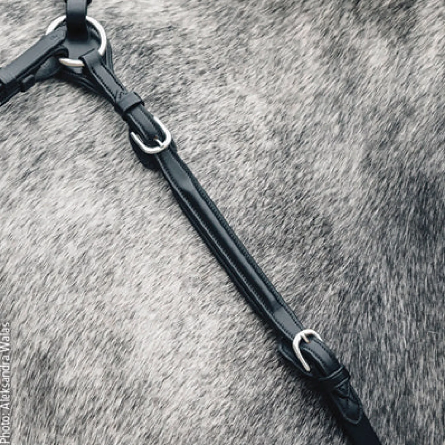 Online SCHOCKEMOEHLE N.A. Schockemöhle Sevilla Breastplate