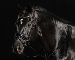 New SCHOCKEMOEHLE N.A. Schockemöhle Standford Glam Bridle Black Patent/Silver