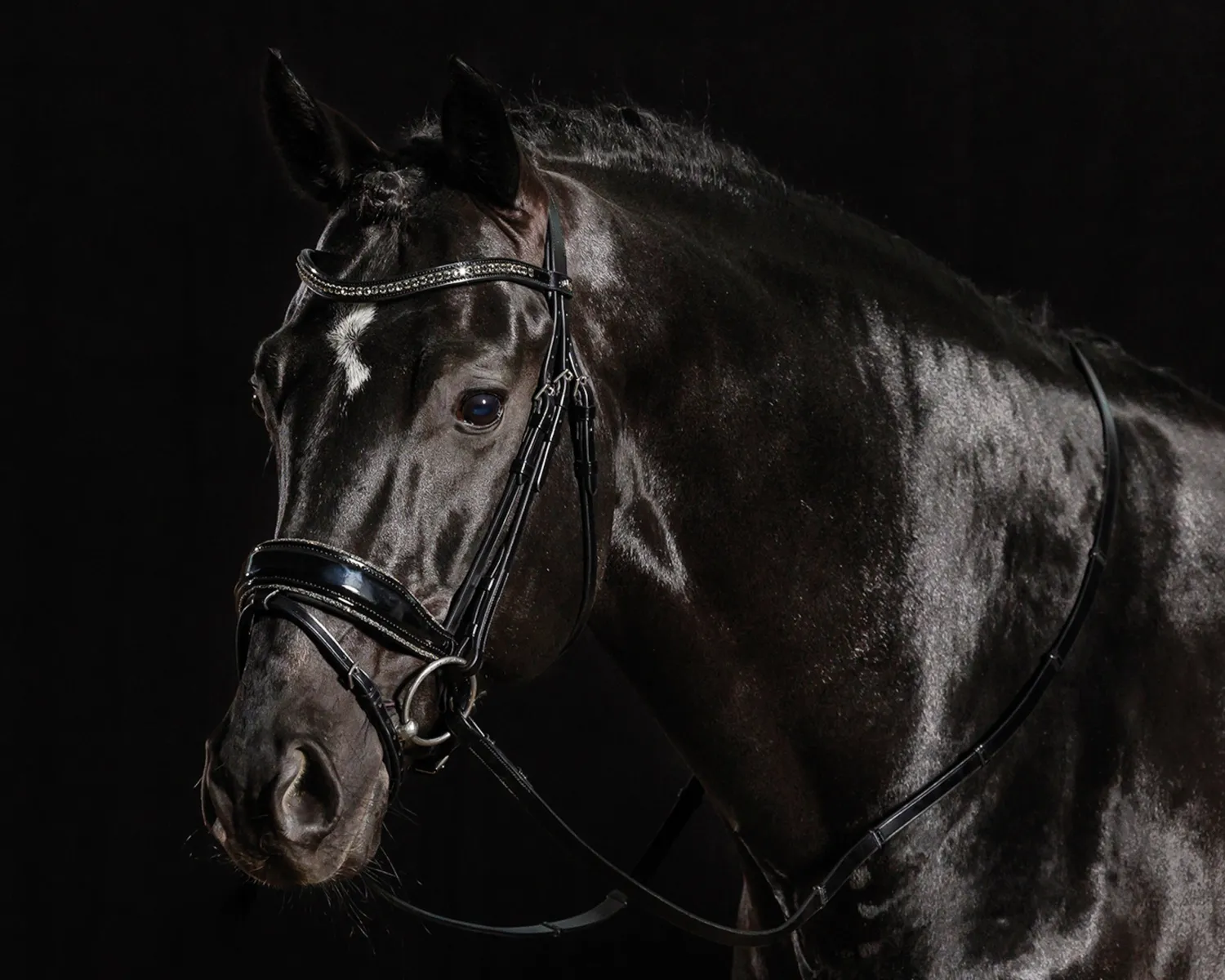 New SCHOCKEMOEHLE N.A. Schockemöhle Standford Glam Bridle Black Patent/Silver