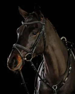 Clearance SCHOCKEMOEHLE N.A. Schockemöhle Tokyo F Bridle