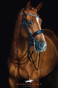 Hot SCHOCKEMOEHLE N.A. Schockemöhle Venice Double Bridle Black/Silver