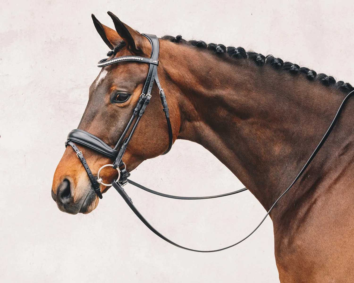 Clearance SCHOCKEMOEHLE N.A. Schockemöhle Malibu Bridle