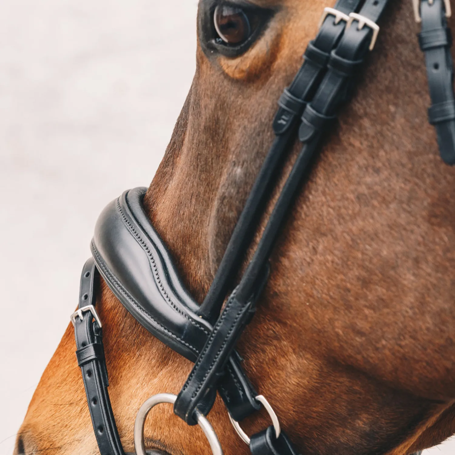 Clearance SCHOCKEMOEHLE N.A. Schockemöhle Malibu Bridle