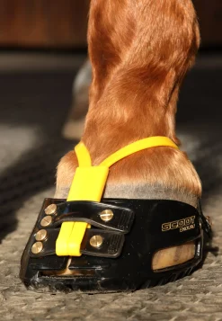 Hot INTREPID INTL Scoot Boot Adjust Hoof Boots - Each Black