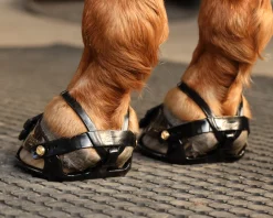 Best INTREPID INTL Scoot Boot Adjust Hoof Boots - Pair Black