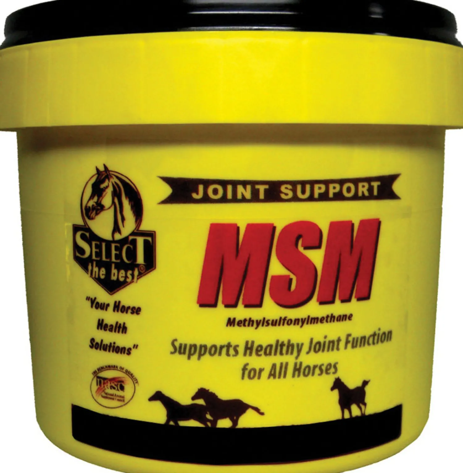 Discount ANIMAL HEALTH INT Select MSM Joint Supplement
