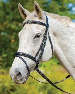 Outlet SHIRES EQUESTRIAN Shires Avignon Louisville Bridle