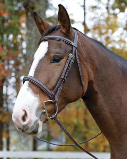 Discount SHIRES EQUESTRIAN Shires Avignon Ocala Bridle Havana