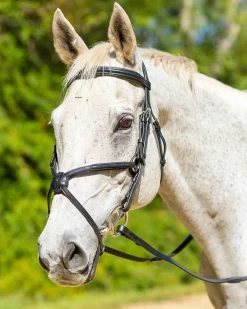 Clearance SHIRES EQUESTRIAN Shires Avignon Woodside Bridle
