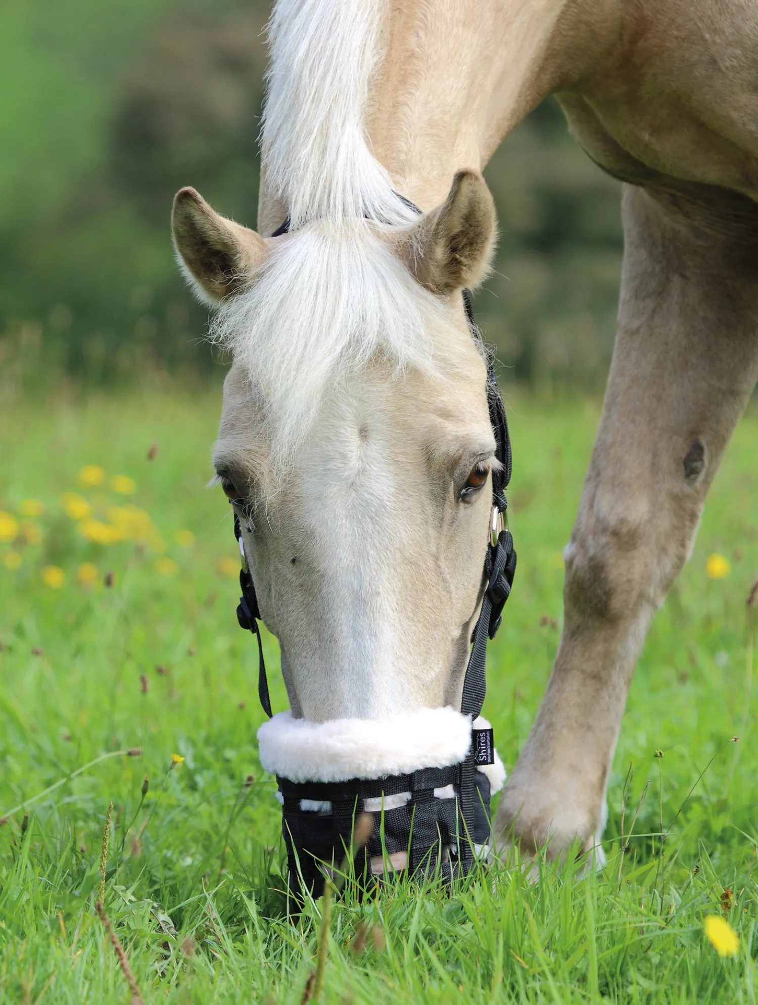Online SHIRES EQUESTRIAN Shires Deluxe Grass Muzzle Black