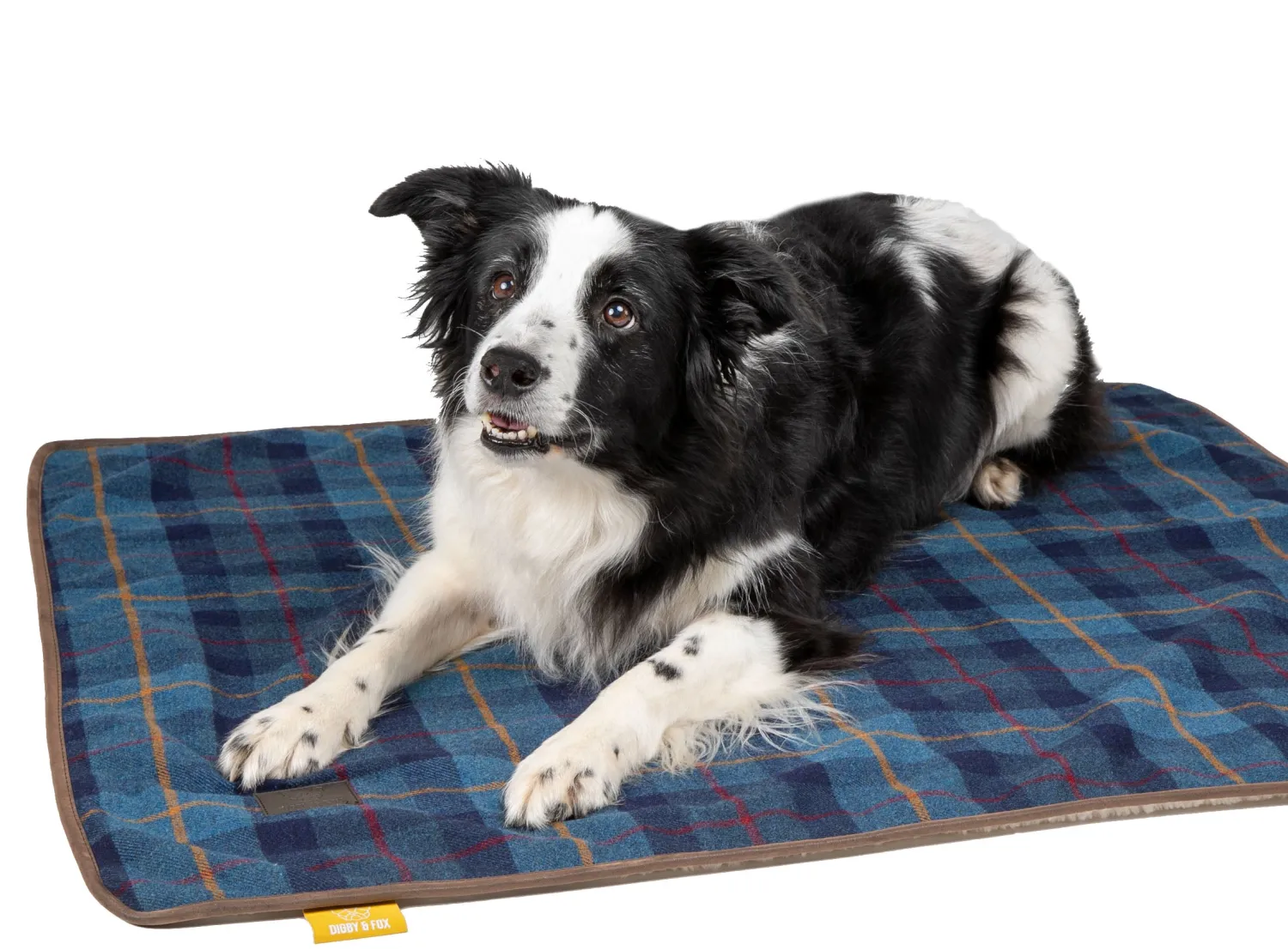 Discount SHIRES EQUESTRIAN Shires Digby & Fox Large Tweed Blanket
