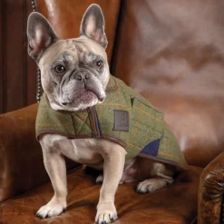 Hot SHIRES EQUESTRIAN Shires Digby & Fox Tweed Dog Coat