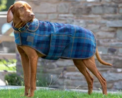 Hot SHIRES EQUESTRIAN Shires Digby & Fox Tweed Dog Coat