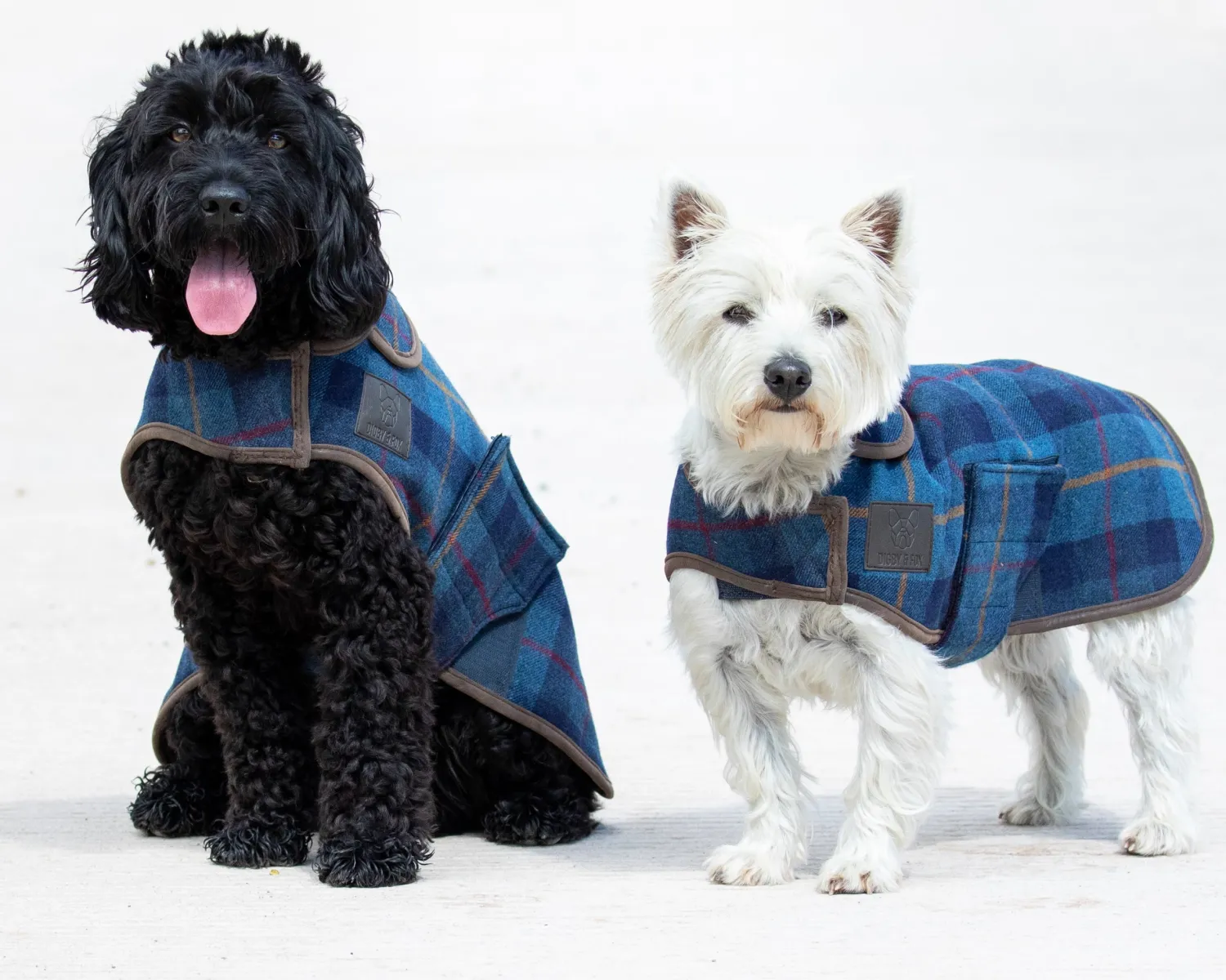 Hot SHIRES EQUESTRIAN Shires Digby & Fox Tweed Dog Coat