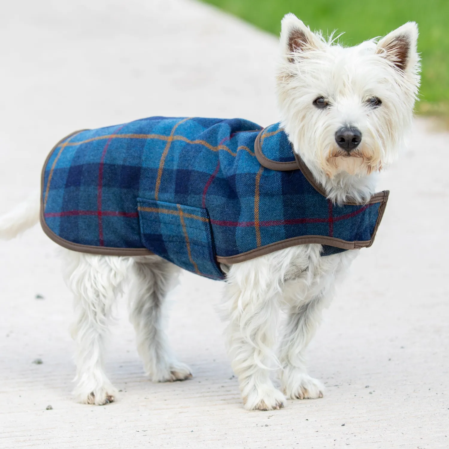 Hot SHIRES EQUESTRIAN Shires Digby & Fox Tweed Dog Coat
