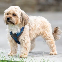 Clearance SHIRES EQUESTRIAN Shires Digby & Fox Tweed Dog Harness