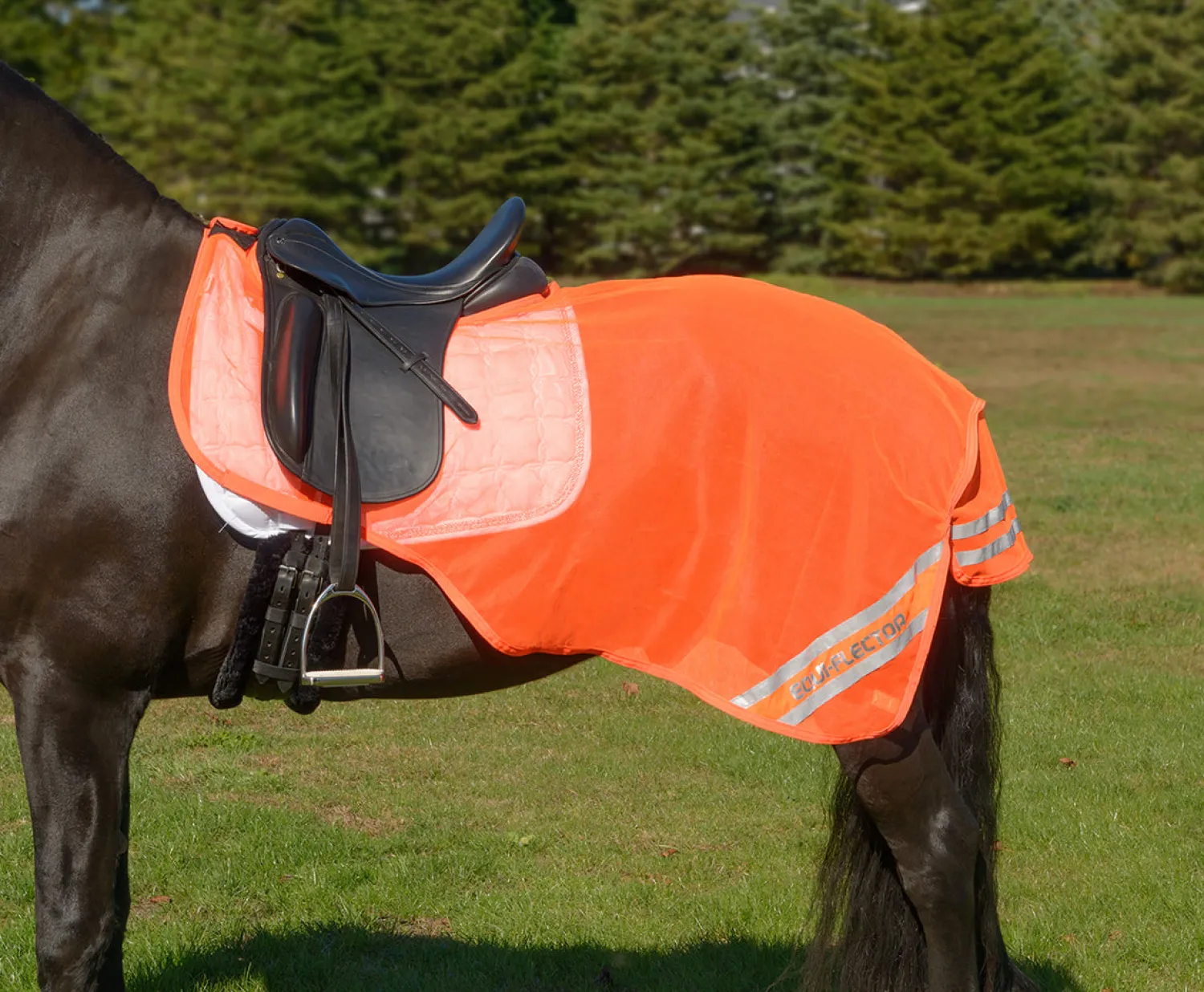 New SHIRES EQUESTRIAN Shires Equi-Flector® Exercise Sheet Orange
