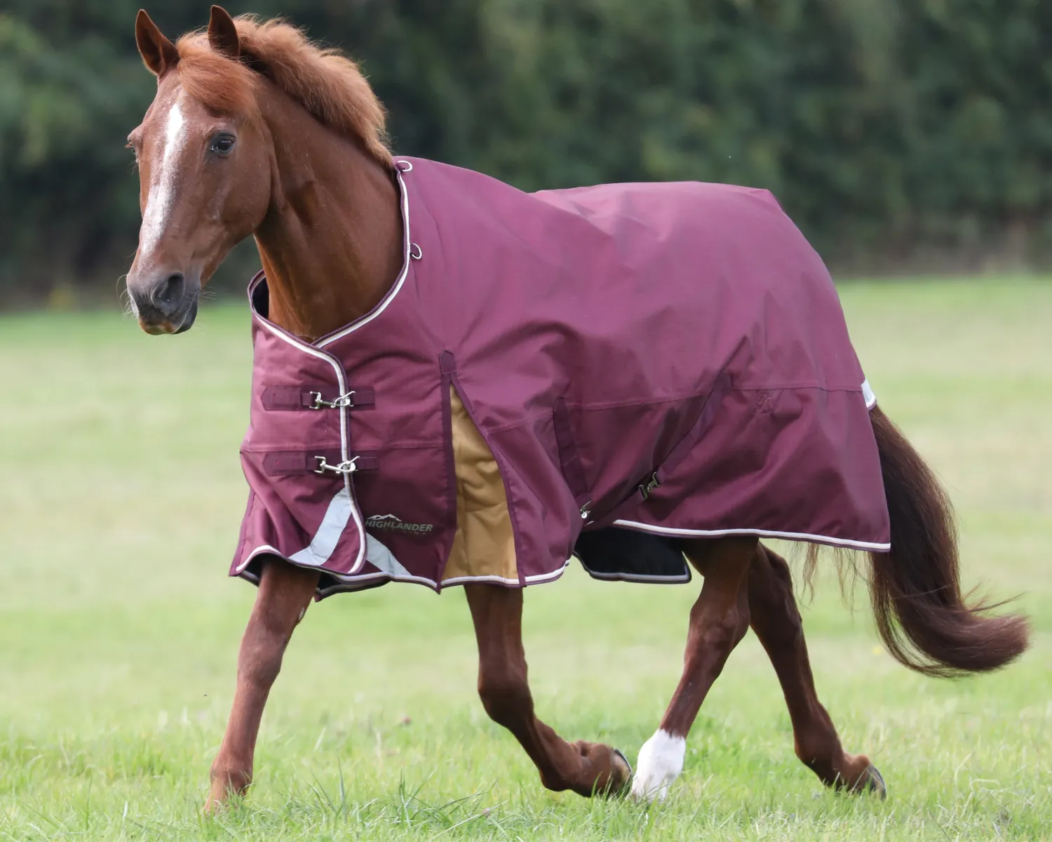 Sale SHIRES EQUESTRIAN Shires Highlander 100G Blanket
