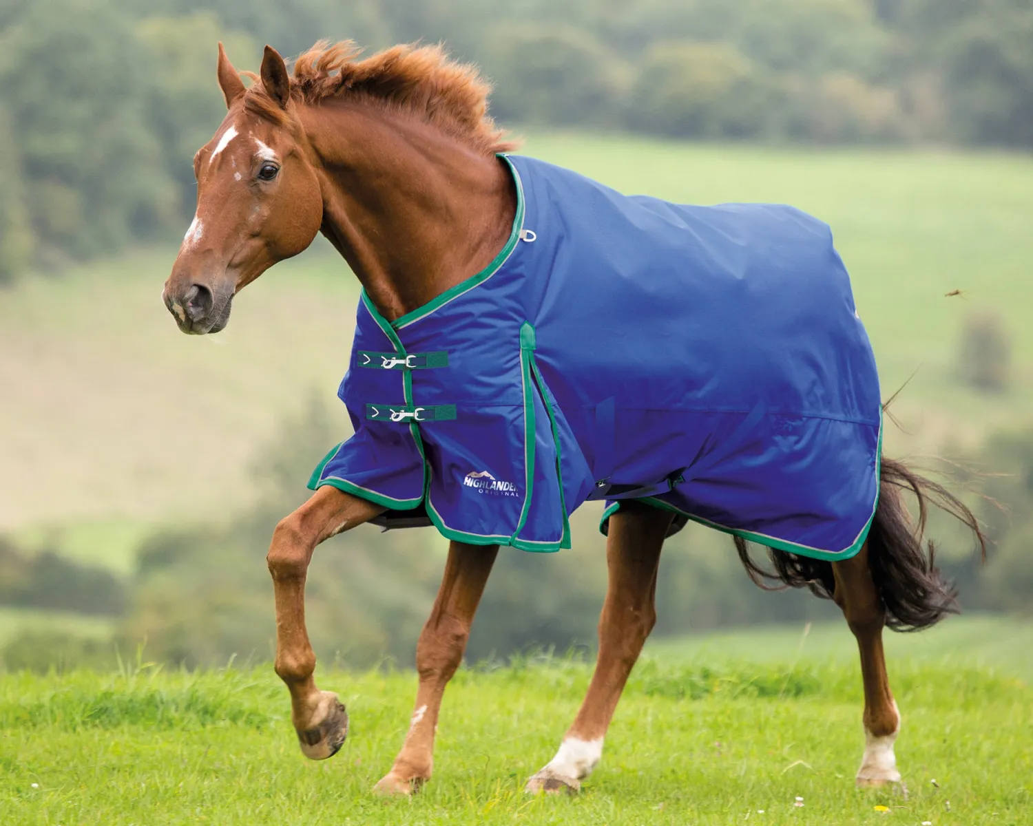 Outlet SHIRES EQUESTRIAN Shires Highlander 200G Blanket