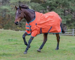 Clearance SHIRES EQUESTRIAN Shires Highlander Lite Turnout Sheet