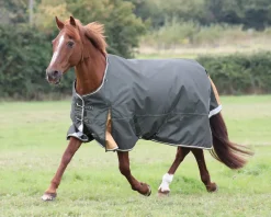 Clearance SHIRES EQUESTRIAN Shires Highlander Lite Turnout Sheet