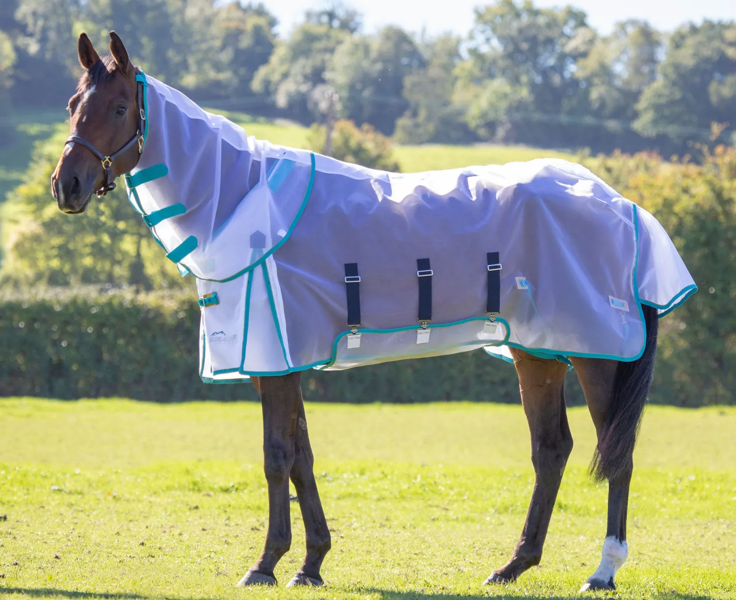 Online SHIRES EQUESTRIAN Shires Mesh Fly Sheet & Neck Cover White/Teal/Mustard