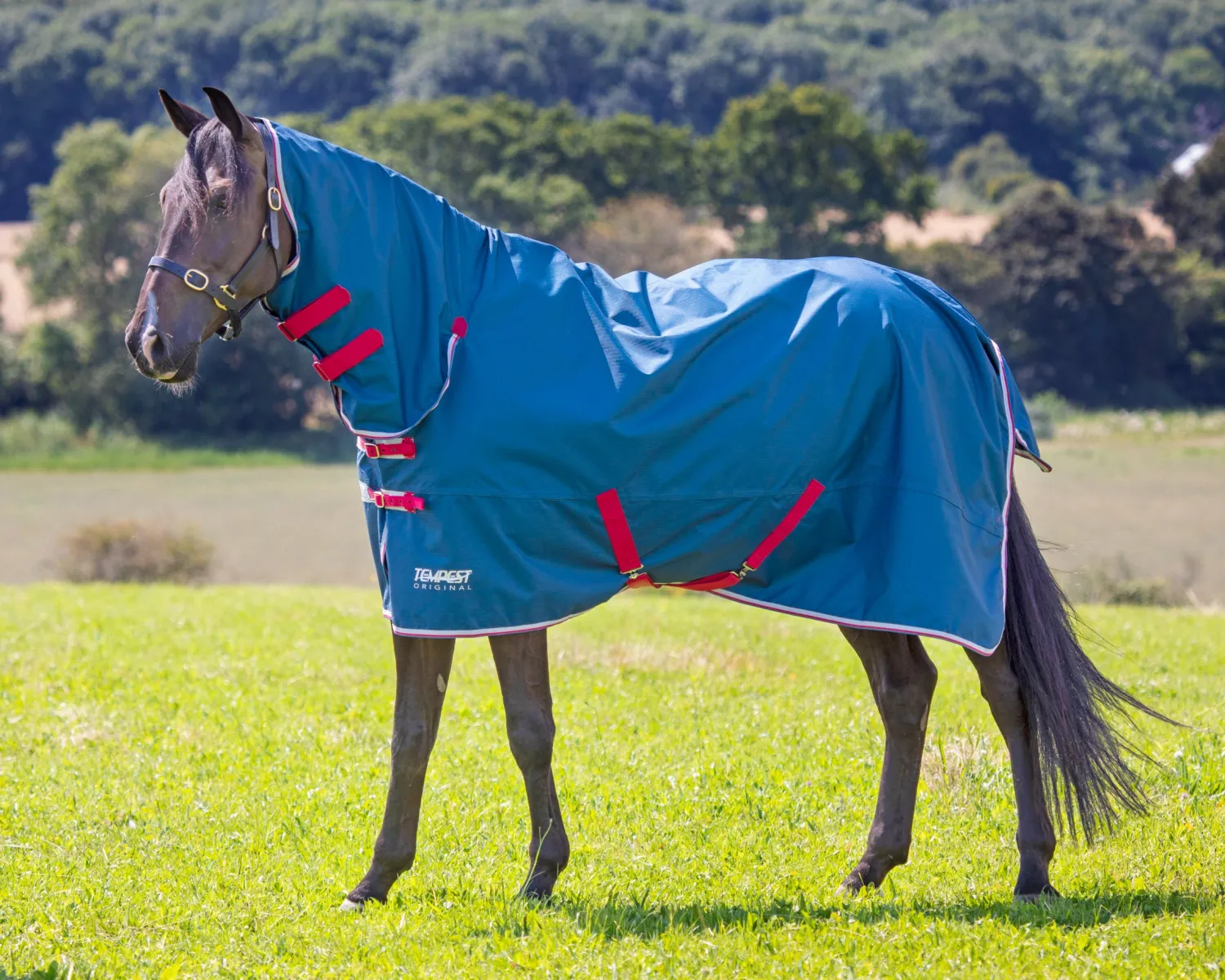 Online SHIRES EQUESTRIAN Shires Tempest Original Lite Combo Turnout Sheet Teal
