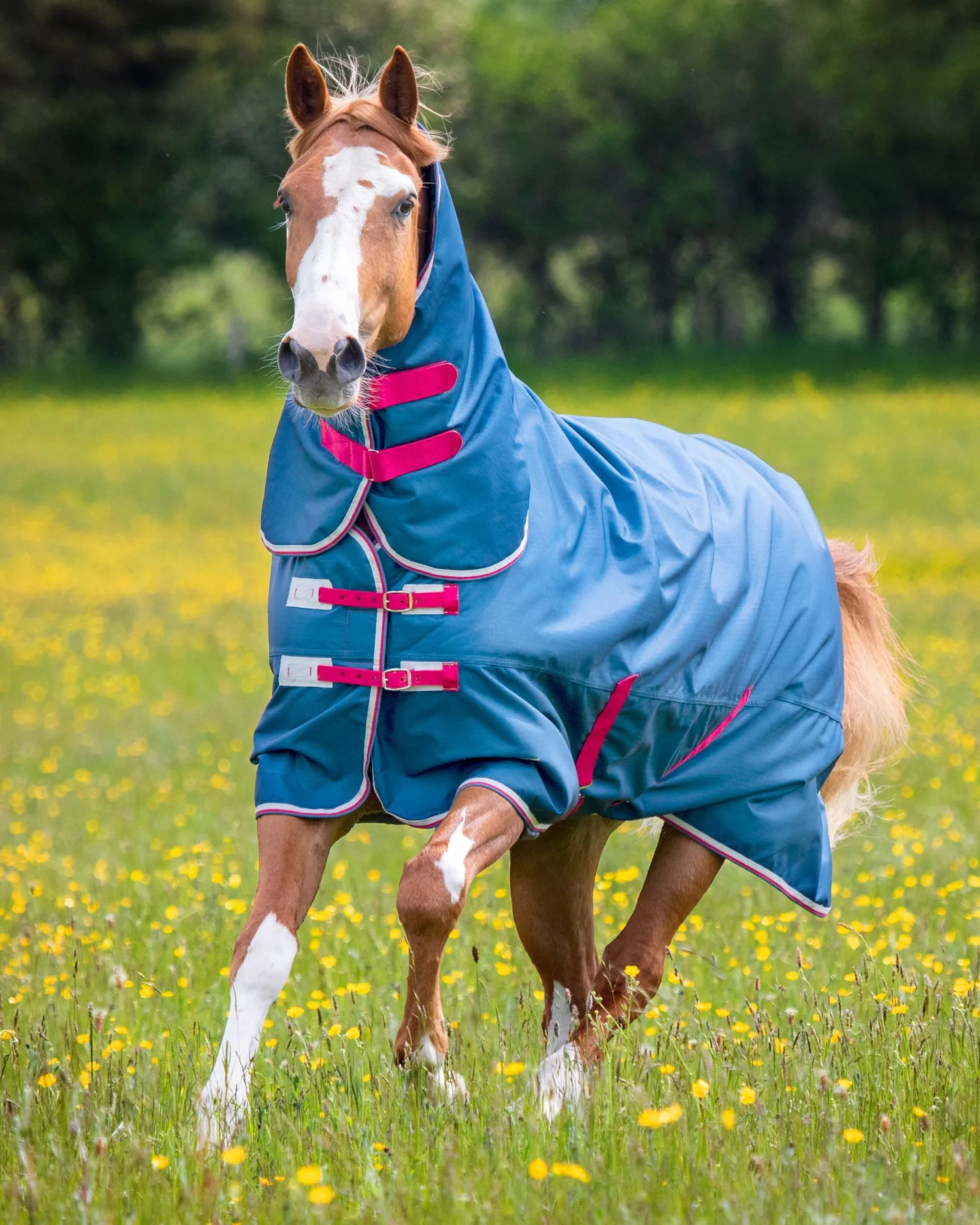 Online SHIRES EQUESTRIAN Shires Tempest Original Lite Combo Turnout Sheet Teal