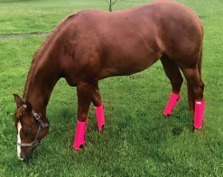 Sale ANIMAL HEALTH INT Shoofly Leggins™ Set of 4