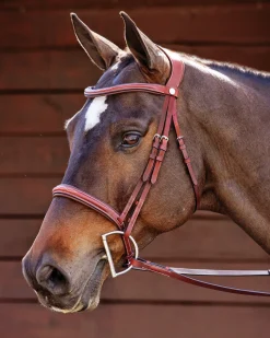 Outlet PUSHKAR INTL Showmark® Ergonomic Hunter Bridle