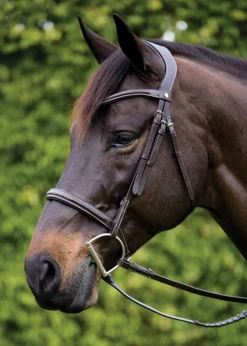 Outlet PUSHKAR INTL Showmark® Ergonomic Hunter Bridle