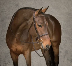 Discount HARMOHN KRAFT Showmark® Premier Hunter Bridle Chocolate