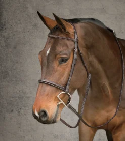 Discount HARMOHN KRAFT Showmark® Premier Hunter Bridle Chocolate