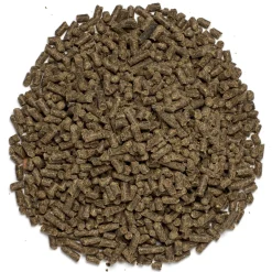 Online SMARTEQUINE ™ Smart & Simple Vitamin E & Selenium Pellets NA
