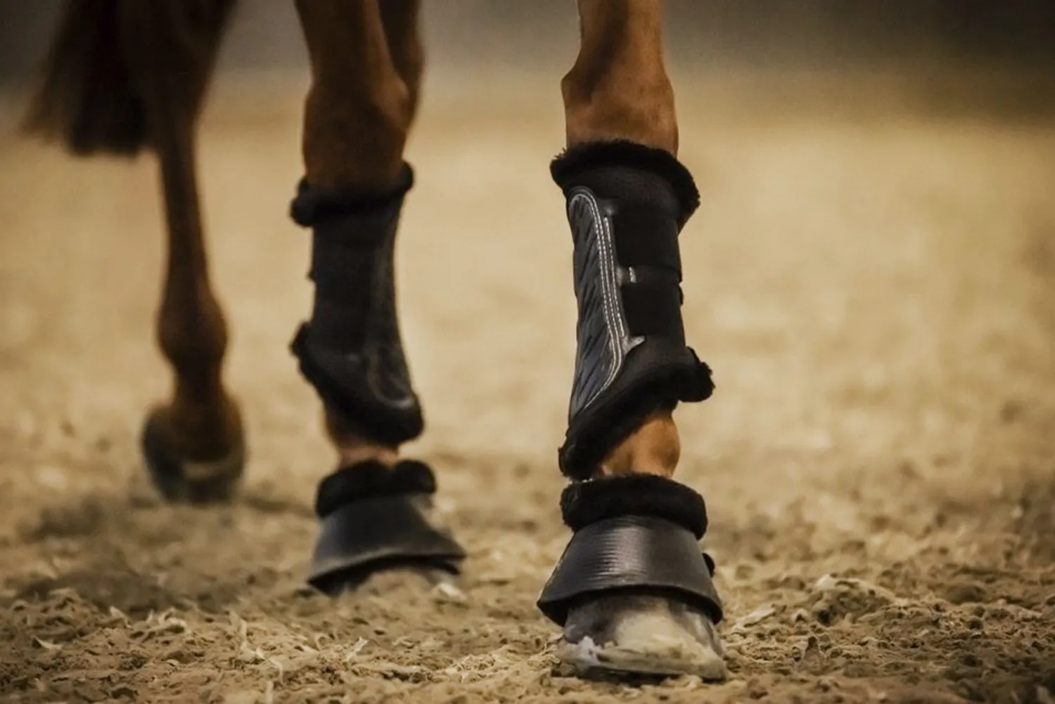 New STUBBEN N.A. Stübben Airflow Fleece-Lined Brushing Boots