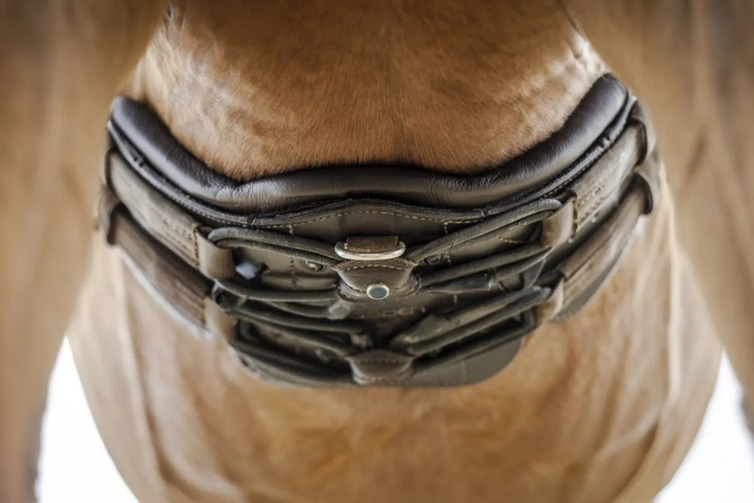 Clearance STUBBEN N.A. Stübben Equi-Soft® Girth